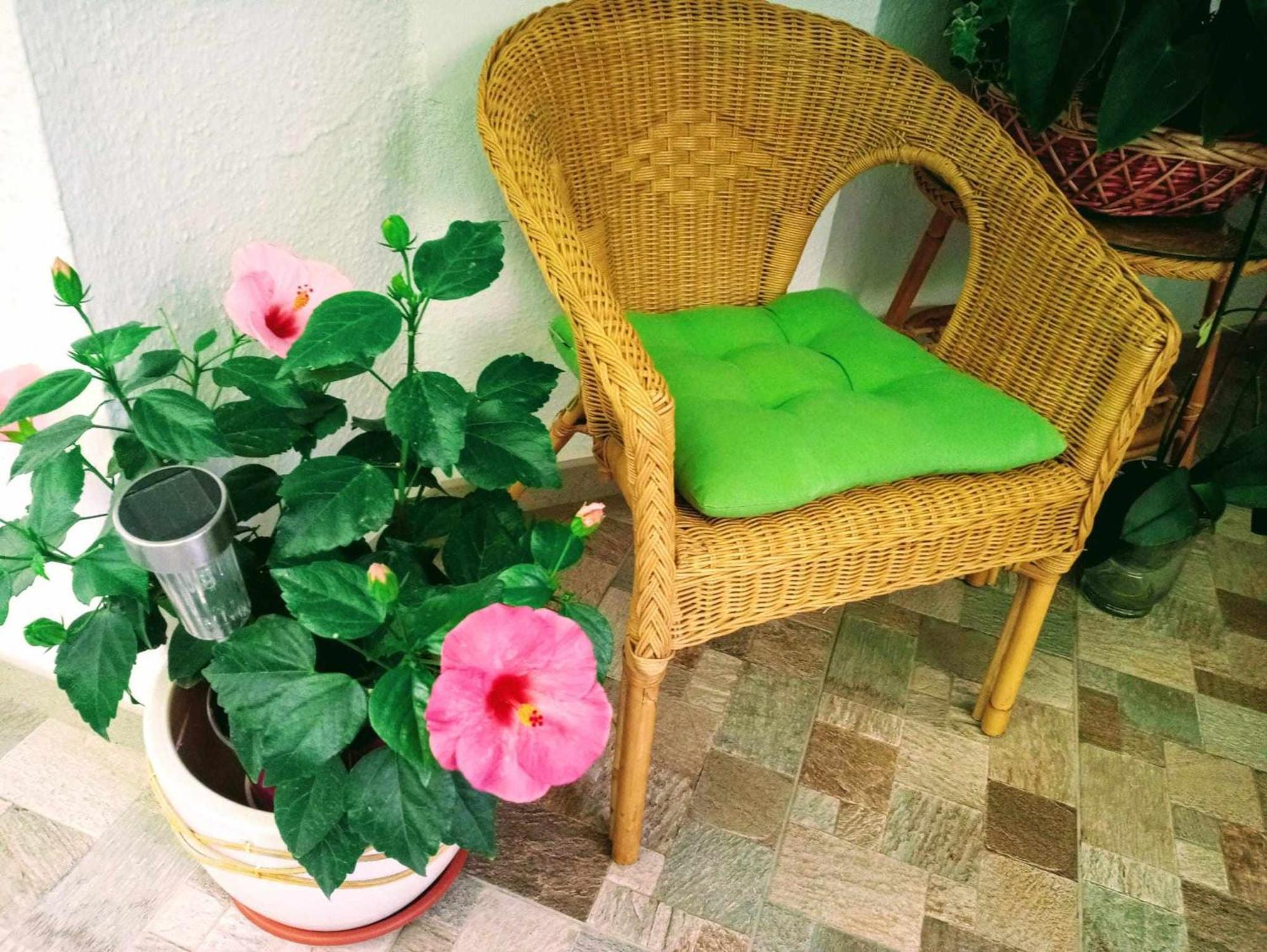 Ferienwohnung La Carihuela A 5 Minutos De La Playavistas Al Mar Torremolinos Exterior foto