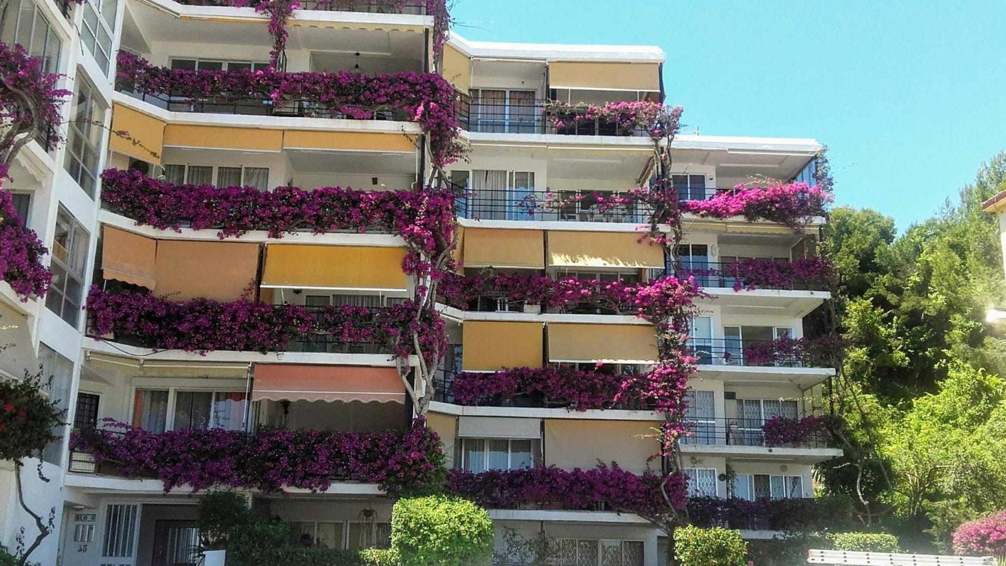 Ferienwohnung La Carihuela A 5 Minutos De La Playavistas Al Mar Torremolinos Exterior foto