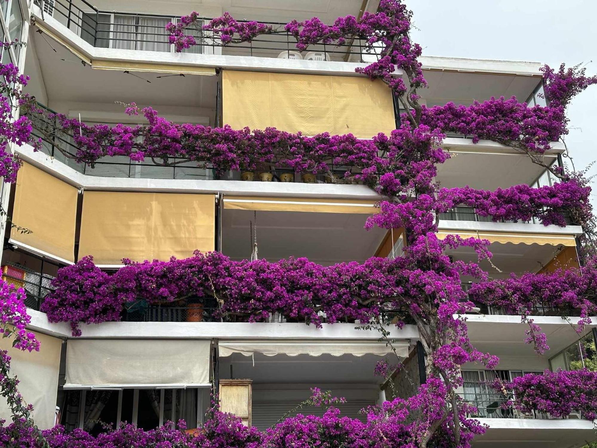 Ferienwohnung La Carihuela A 5 Minutos De La Playavistas Al Mar Torremolinos Exterior foto